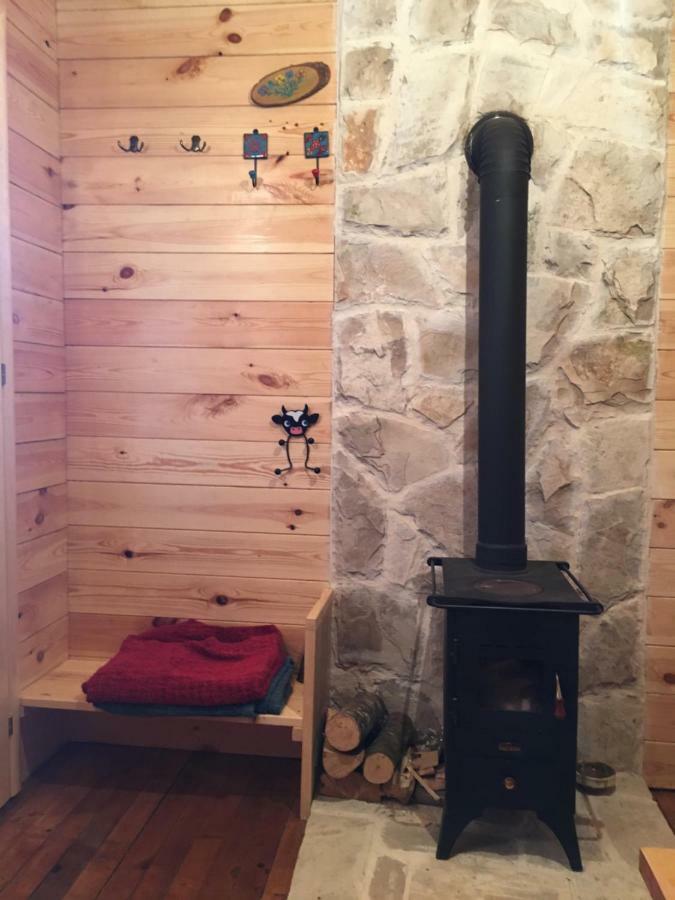 Cozy Cabin Zabljak  Luaran gambar